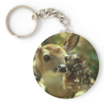 Fawn Keychains