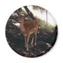 Fawn Magnet