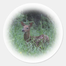 Fawn Round Stickers