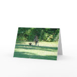 Fawn Squirrel Friends Greeting Cards