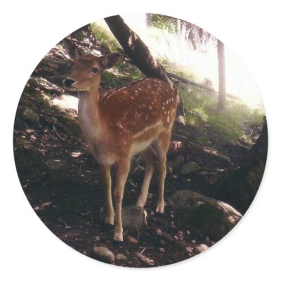 Fawn Stickers by stonedorphotos