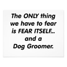 fear dog groomer announcement