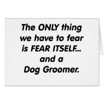 fear dog groomer greeting card