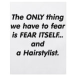 Fear Hairstylist Custom Flyer