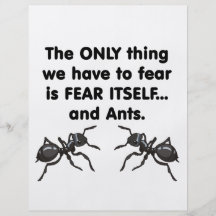 Fear it Itself and Ants 2 Personalized Flyer