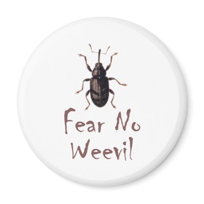 Fear No Weevil Fridge Magnets by Monkeydantees