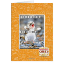 Fear the Fuzzy! Greeting Cards
