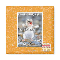 Fear the Fuzzy! Magnets