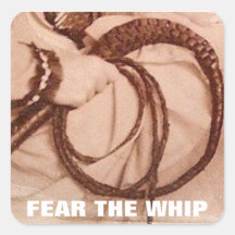 FEAR THE WHIP STICKER