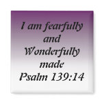 Fearfully and Wonderfully Made Magnets