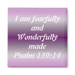 Fearfully and Wonderfully Made Magnets