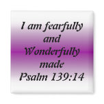 Fearfully and Wonderfully Made Magnets