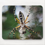 Feasting Zipper Spider Mouse Pad