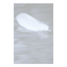 feather custom stationery