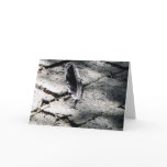 Feather Dream Greeting Card