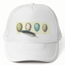 Feather Hat
