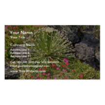 Feather-tipped Succulent flowers Business Card Templates