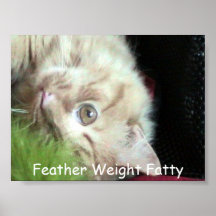 Feather Weight Fatty Poster