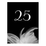 Feathered 1920's Table Number Postcard