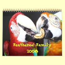 Feathered Family 2008 Calendar calendars