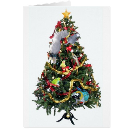 Feathered Family Christmas Card