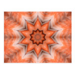 Feathered Frenzy Postcard