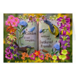 Feathered Friends Cards