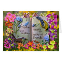 Feathered Friends Cards