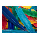Featherly Postcard