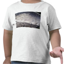 Feathers from Seagull Shirt