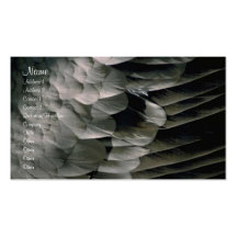 Feathers Profile Card Business Card