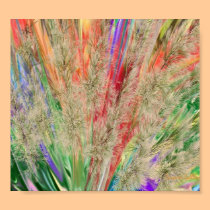 Feathery Colours posters