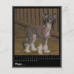 february 2012 calendar flyers