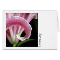 February Greeting Card