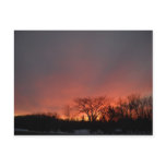February Morning Red Sky Postcard
