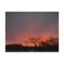 February Morning Red Sky Postcard