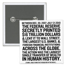 Federal Reserve Audit Pins