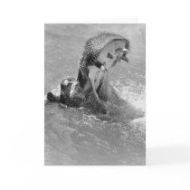 Feed Me Hippo Note Card