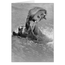 Feed Me Hippo Note Card