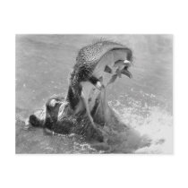 Feed Me Hippo Postcard