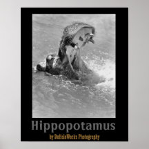 Feed Me Hippo Poster