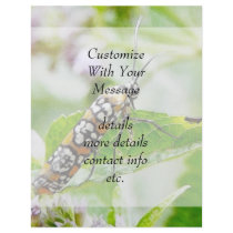 Feeding – Ermine Moth on Agastache Flyer