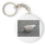 Feeding Pigeon Key Chain