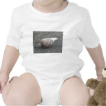 Feeding Pigeon Shirt