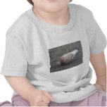 Feeding Pigeon T-shirt