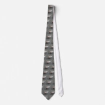 Feeding Pigeon Neck Tie