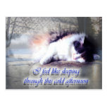 Feel Like Sleeping Post Cards