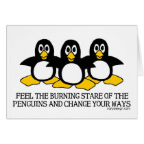 Feel The Burning Stare Of The Penguins
