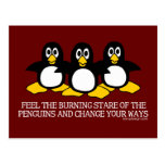 Feel The Burning Stare Of The Penguins Post Card