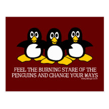 Feel The Burning Stare Of The Penguins Post Card
